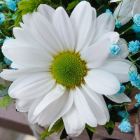 Букет_Аромат лета Букет_Аромат лета