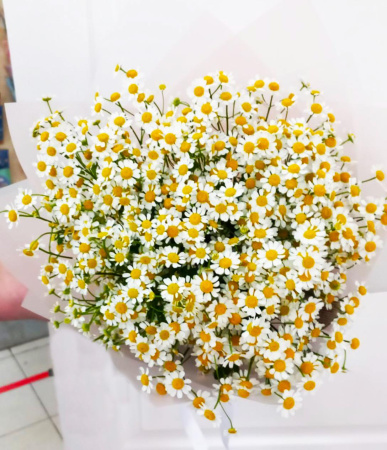 Букет_15 ромашек